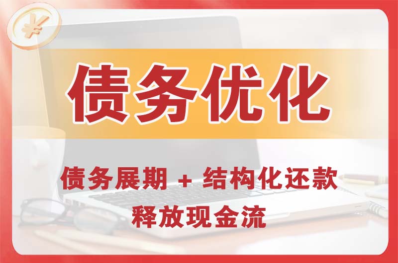 公主岭债务优化